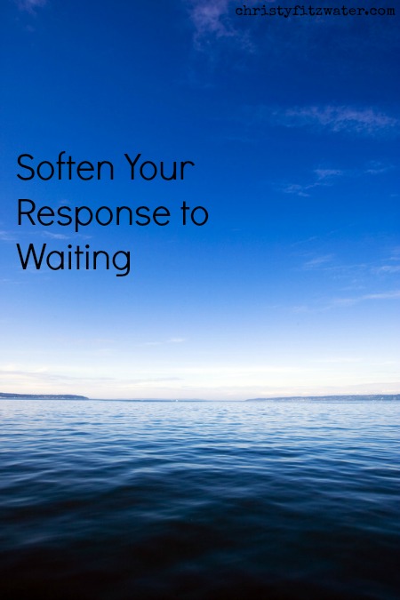 Soften your response to waiting.  -christyfitzwater.com