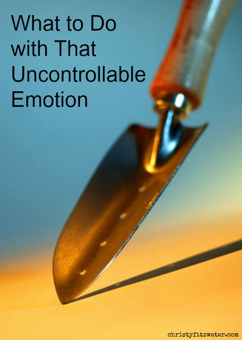 Getting to the root of your uncontrollable emotions.  -christyfitzwater.com