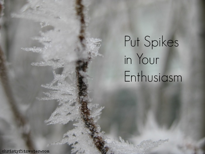 Is your enthusiasm prepared for the ice of decision making?  -christyfitzwater.com