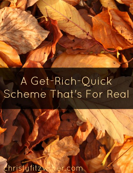 A Get-Rich-Quick Scheme That's for Real  -christyfitzwater.com