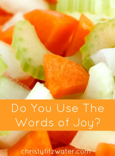 Do You Use The Words of Joy? -christyfitzwater.com