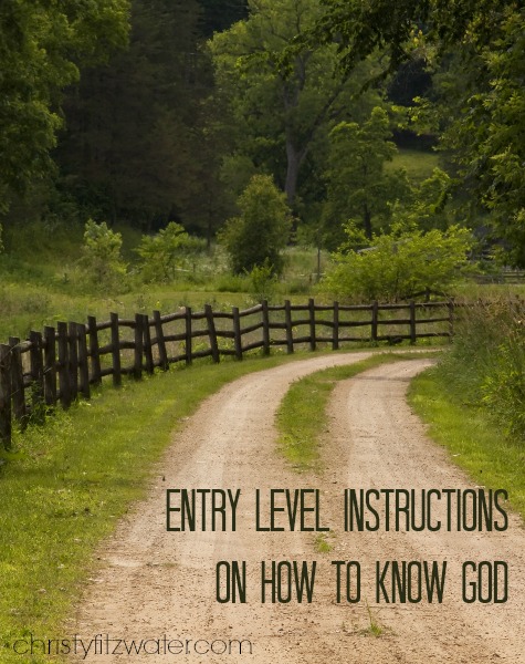 Entry Level Instructions on How to Know God -christyfitzwater.com