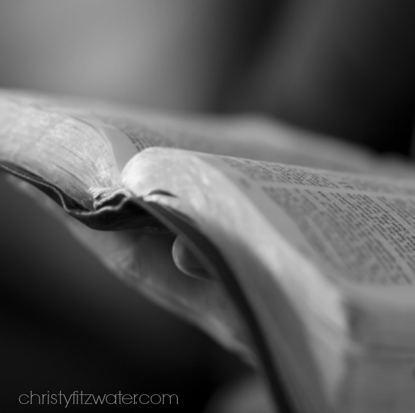 Do This to Add Spark to Your Daily Bible Reading -christyfitzwater.com