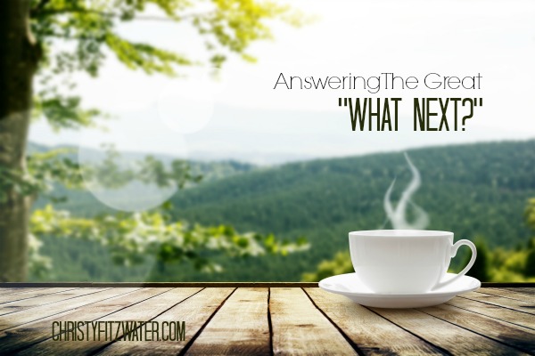 Answering the Great "What Next?" -christyfitzwater.com