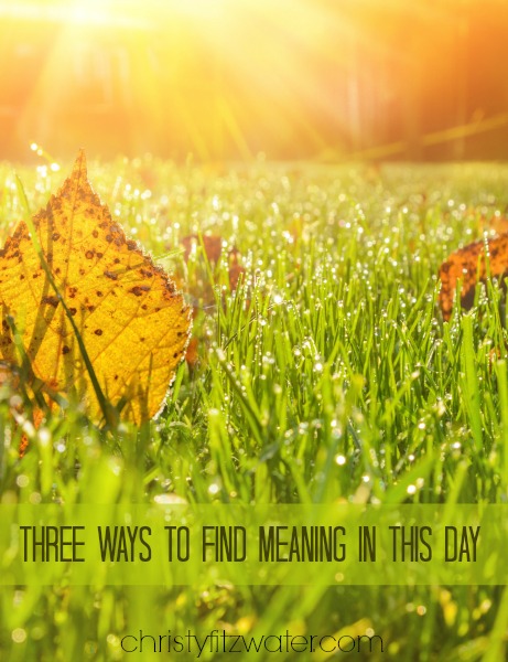 Three Ways to Find Meaning in This Day