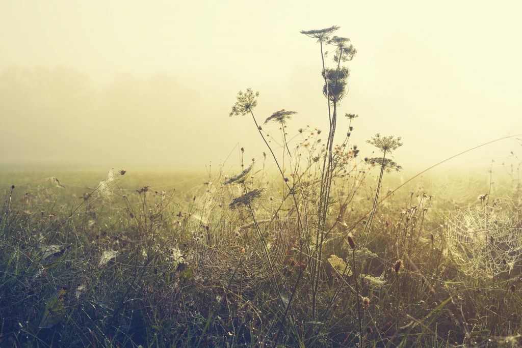 Be Ready To Make Adjustments in Stressful Situations -christyitzwater.com