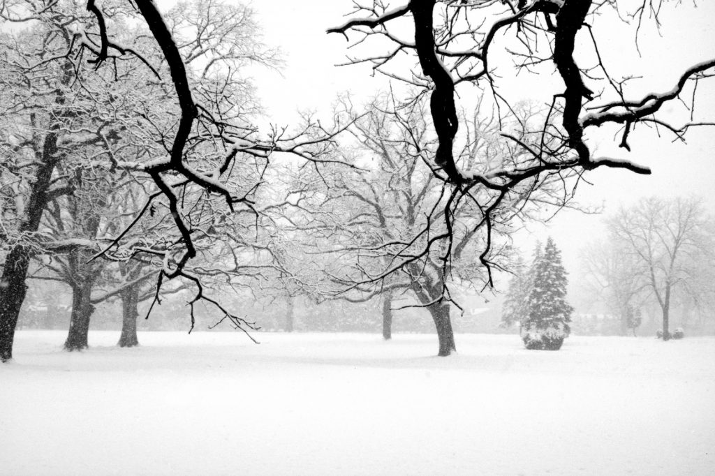 Why Turning Is Your Best Investment for Meaningful Holidays -christyfitzwater.com